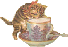 A gif of a kitten drinking out of a tea cup filled with milk.